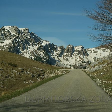 Вилла Durmitorska Zora Жабляк Экстерьер фото