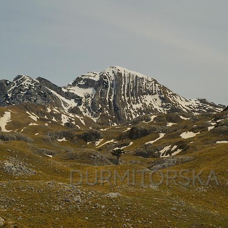 Вилла Durmitorska Zora Жабляк Экстерьер фото