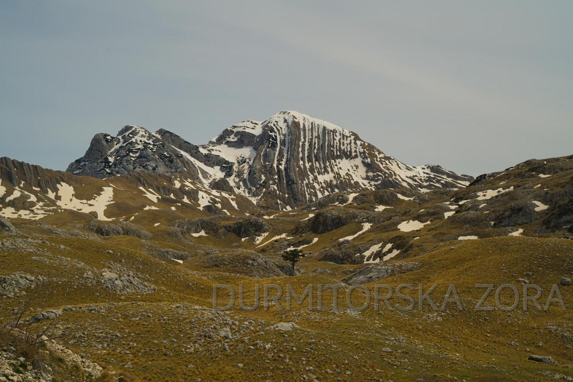 Вилла Durmitorska Zora Жабляк Экстерьер фото